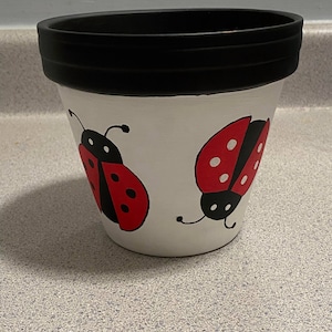 May include: White ceramic flower pot with a black rim and two hand-painted ladybugs. The ladybugs are red with black spots and black outlines.
