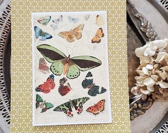 May include: A yellow card with white polka dots features a vintage illustration of various butterflies. The butterflies are in shades of green, red, orange, blue, and black.