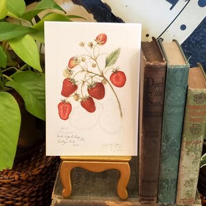 May include: A botanical illustration of strawberries on a white background. The artwork features red strawberries with green leaves and stems. The print is displayed on a small, gold-toned easel, with vintage books in the background.