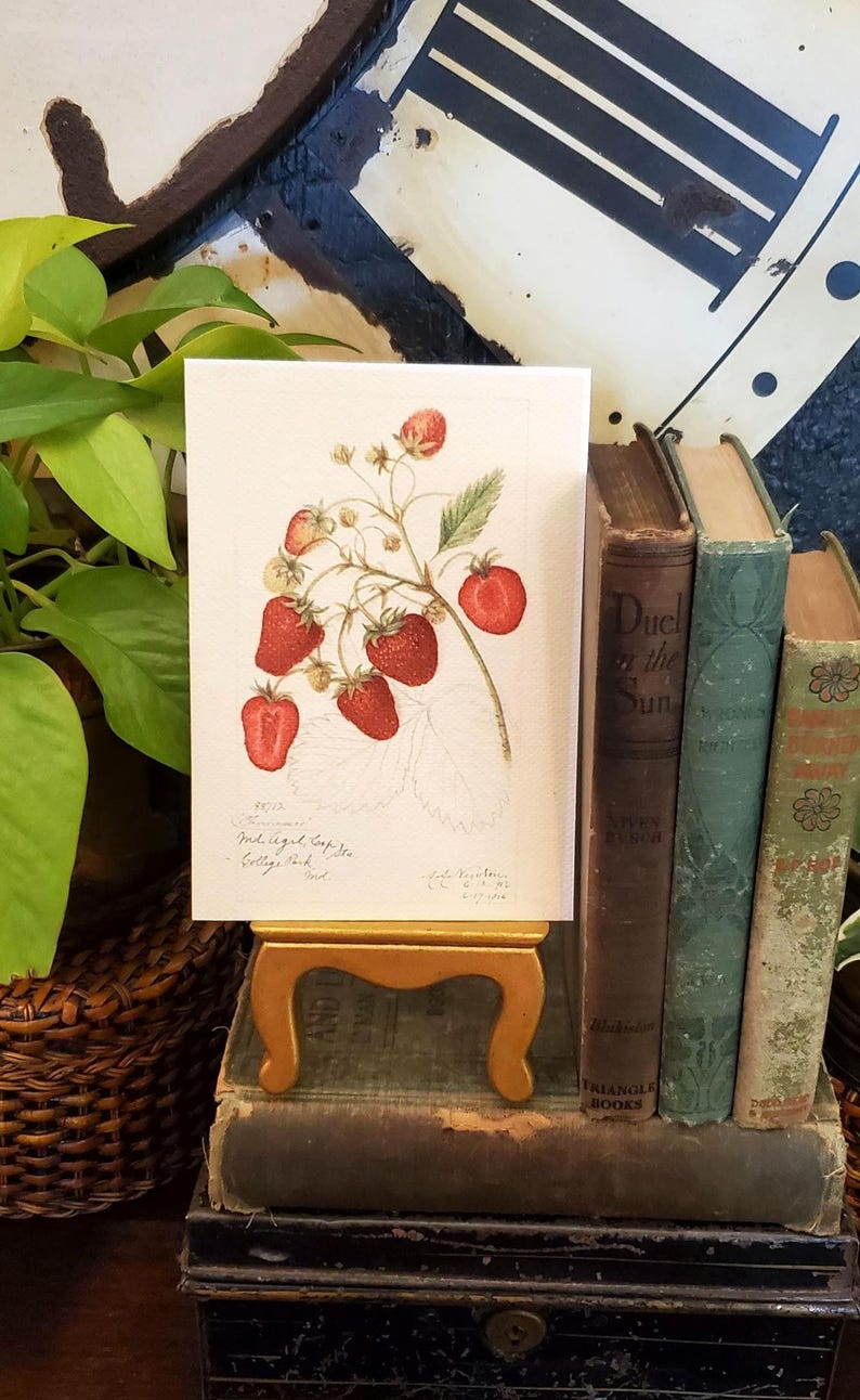 May include: A botanical illustration of strawberries on a white background. The artwork features red strawberries with green leaves and stems. The print is displayed on a small, gold-toned easel, with vintage books in the background.