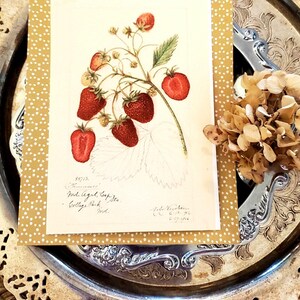 May include: A vintage botanical print of strawberries, featuring ripe red berries and green leaves on a white background. The print is set on a gold polka dot card, resting on a silver tray with a dried flower arrangement.