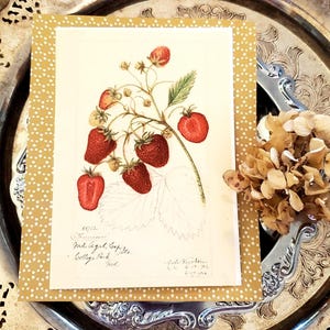 May include: A botanical illustration of strawberries on a cream-colored background, framed by a gold dotted border. The artwork features detailed drawings of ripe red strawberries and green leaves. The image is placed on a decorative silver tray.