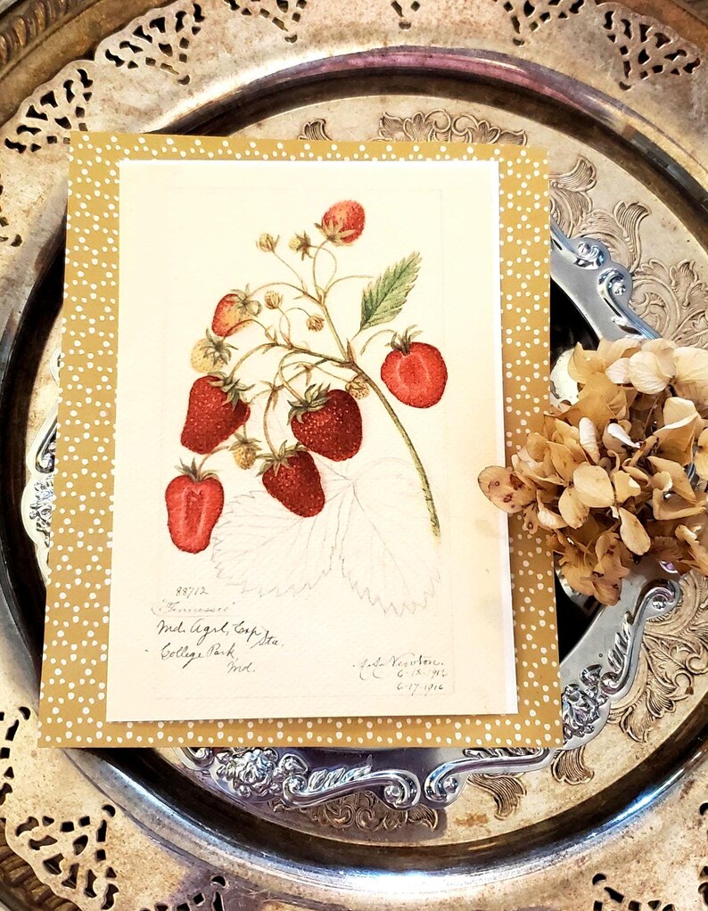 May include: A botanical illustration of strawberries on a cream-colored background, framed by a gold dotted border. The artwork features detailed drawings of ripe red strawberries and green leaves. The image is placed on a decorative silver tray.