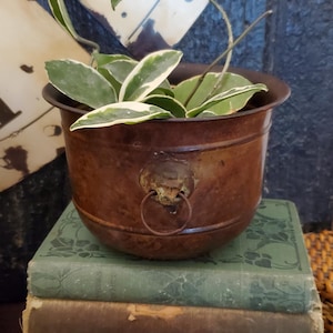 May include: A small, aged, copper-colored planter with a lion's head ring handle, filled with a green and white plant. The planter sits atop a stack of vintage books and a small black box with a keyhole.
