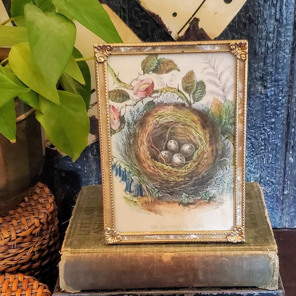 Vintage Gold Picture Frame , Vintage Metal Frame , Ornate Gold Frame , Antique Gold Frame , Shabby Chic Decor , Cottage Decor