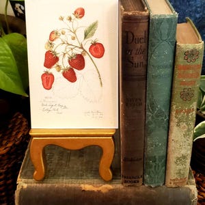 May include: A vintage botanical print of strawberries on a small gold easel. The print is displayed next to a stack of antique books with worn covers in shades of brown, green, and gold. The scene evokes a sense of nostalgia.