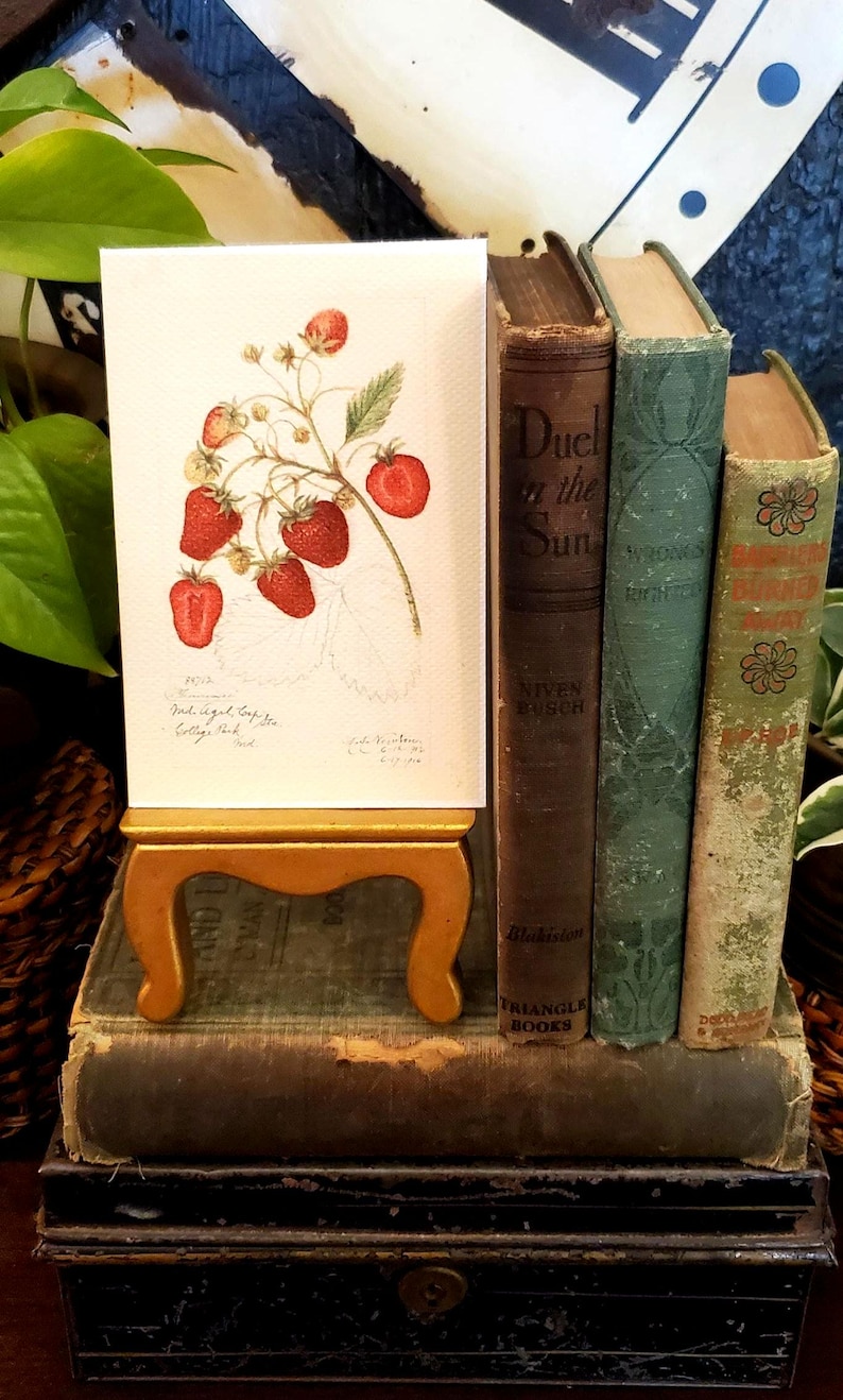 May include: A vintage botanical print of strawberries on a small gold easel. The print is displayed next to a stack of antique books with worn covers in shades of brown, green, and gold. The scene evokes a sense of nostalgia.