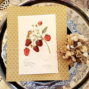 May include: A botanical illustration of strawberries on a white background, framed by a gold dotted border. The artwork is set on a decorative silver tray, with dried flowers in the background. The strawberries are red and detailed.