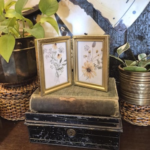 May include: A gold-framed, two-panel picture frame displaying pressed flowers. The frame sits atop a stack of vintage books and a black metal box. Potted plants in brass and woven containers flank the frame, creating a rustic, vintage aesthetic.