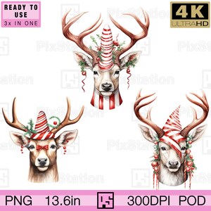Ciervo navideño con sombrero de bastón de caramelo png, ciervo de Año Nuevo png, reno de acebo navideño png sublimación imprimible descarga de clipart / ps355