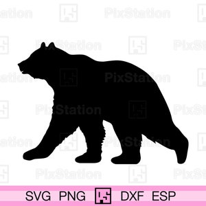 Bear silhouette svg