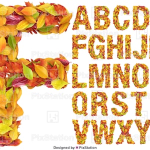 Herbst Alphabet Buchstaben, Herbst Alphabet, Florale Blätter Herbst Buchstaben, Herbstblätter Alphabet Clipart Digital Download Cricut Silhouette