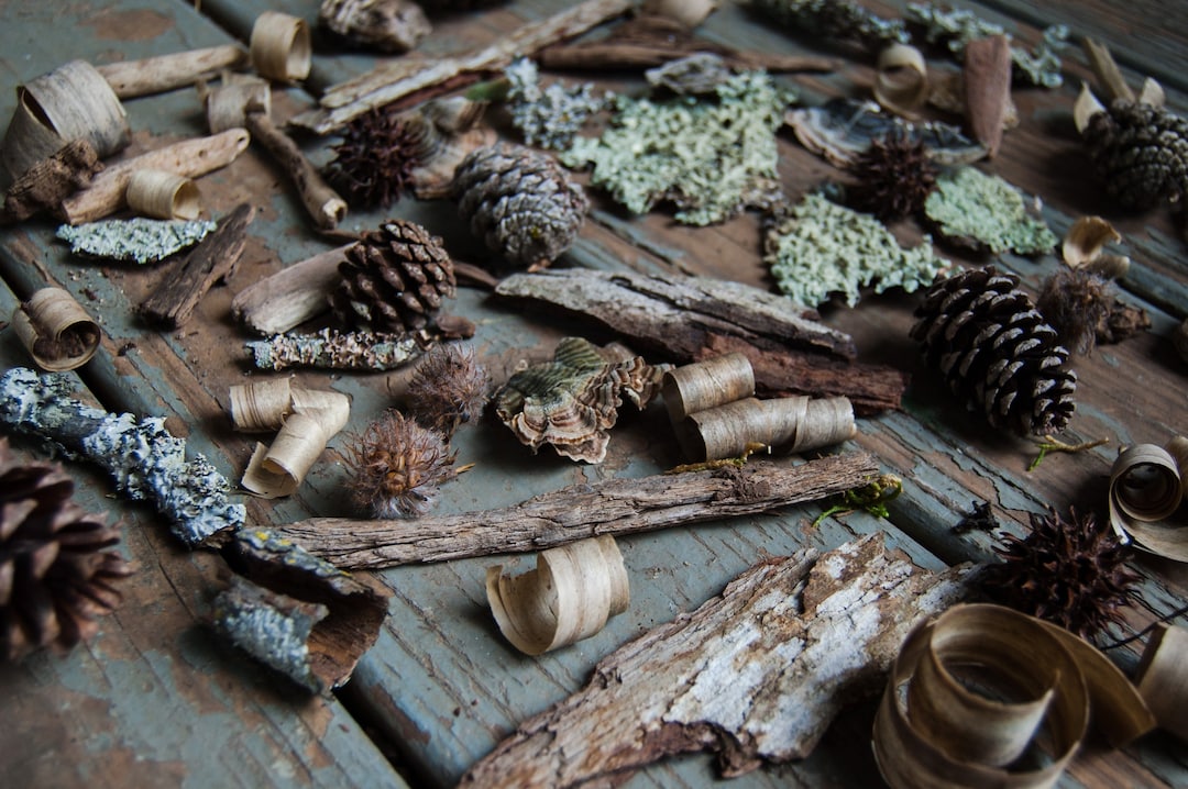 Eucalyptus & Lemongrass Potpourri Home Decor Etsy