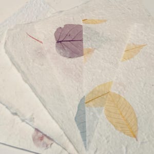 Papier fait main feuille de mûrier, Papier fait main, Papier de mûrier, Papier fait main, Papier décoratif, Papier artisanal, Papier pour carte, Papier