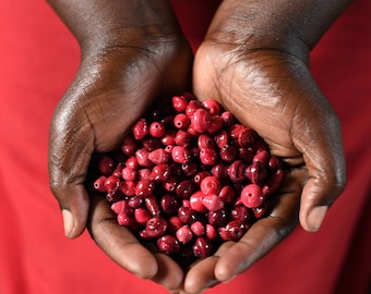 Red Paper Beads: Handmade Jewelry Making Supplies, Uganda, 50pc