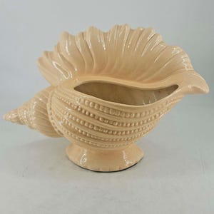 May include: A pale peach-colored ceramic planter shaped like a conch shell. The vessel features a flared, scalloped rim, a tapered spiral tail, and a textured surface with raised beaded lines and ridges that follow the natural curves of the shell.