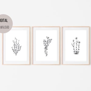 Botanical Prints - Set of 3 Wildflowers Art for Instant Download Wall Decor, 8x10 & 5x7 Printable Art