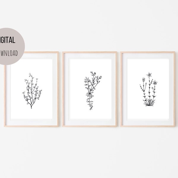 Chic Botanical Prints: Set of 3 Printable Wall Art Wildflowers for Modern Home Decor"- Instant download 8x10 and 5x7