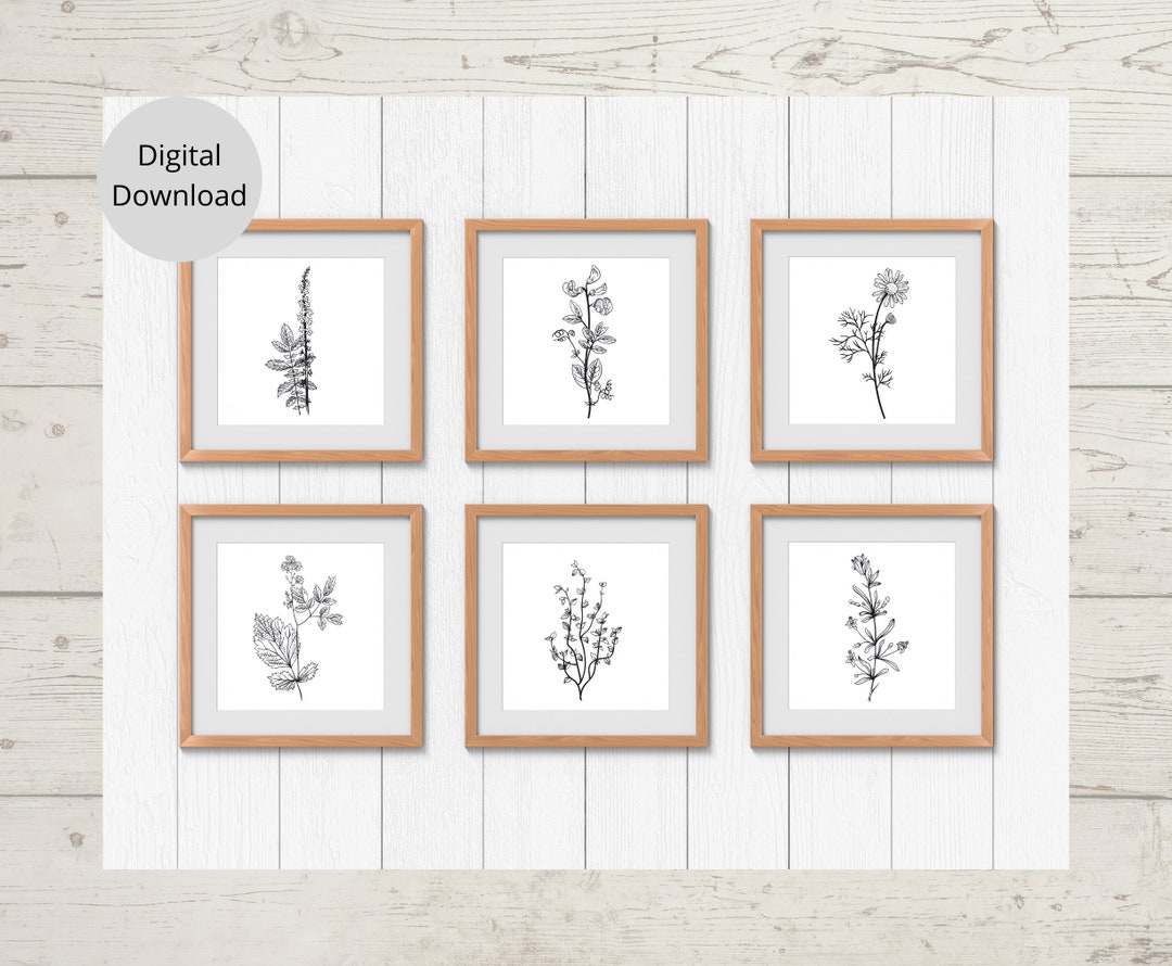 Wildflower Wall Art: Set of 6 Printable Prints for Modern Home Decor ...