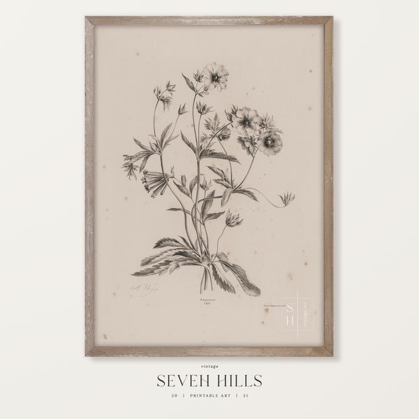 Botanical Sketch Art Print, Flower Graphite Drawing, Printable Farmhouse Wall Decor | #297