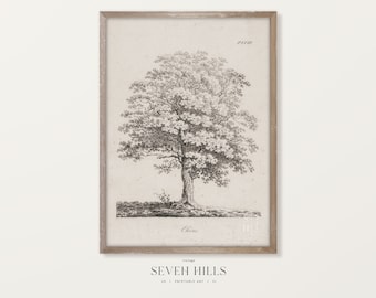 Printable Nature Sketch Art, Antique Graphite Drawing, Vintage Digital Print | #313