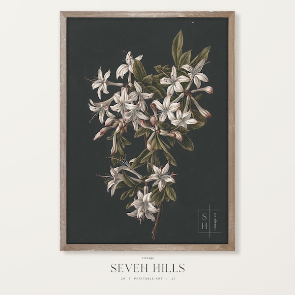 Floral Vintage Print, Botanical Painting, Printable Flowers Farmhouse Wall Art | #362