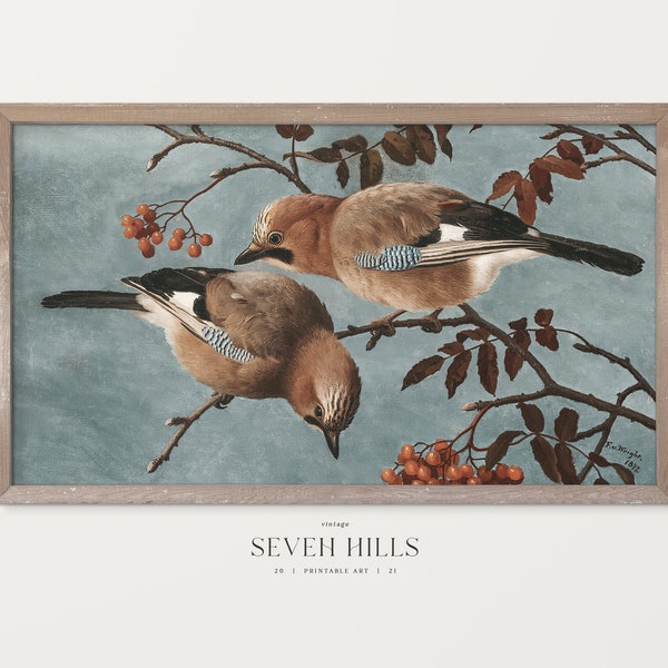 Vintage Birds Frame TV Art, Rustic Holiday Samsung TV Art | TV176