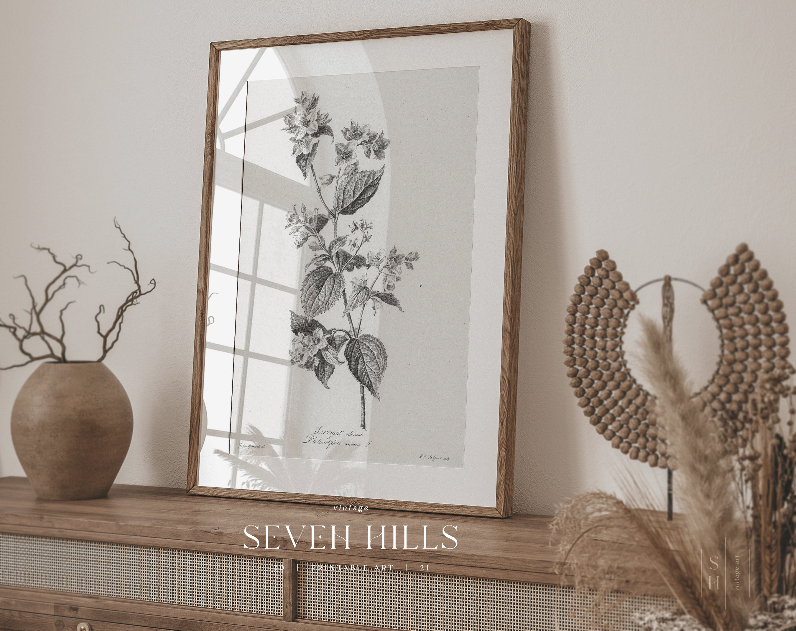 Flower Sketch Wall Art Botanical Vintage Print Printable Etsy