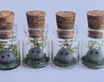 May include: Four small glass bottles with cork stoppers, each containing a small, gray, round creature with black eyes, nestled in green moss and greenery. The bottles are clear, and the background is white.