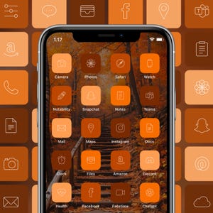 May include: A smartphone displaying a custom home screen with an autumn theme. The icons are in shades of orange and brown, with a background image of a forest path. The time 1.17 is displayed at the top.