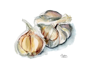 Garlic Watercolor Print