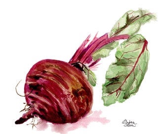 Beet Watercolor Print