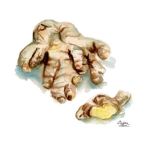 Ginger Watercolor Print
