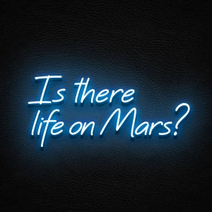 Custom LED Neon Sign Bespoke Signage Lighting is there life on mars? David Bowie Lyrics Fan Art Light Home Decor Wall Hanging Custom Bespoke