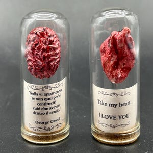 Piccolo Cuore / Cervello Umano in campana di vetro / Bomboniere / San Valentino