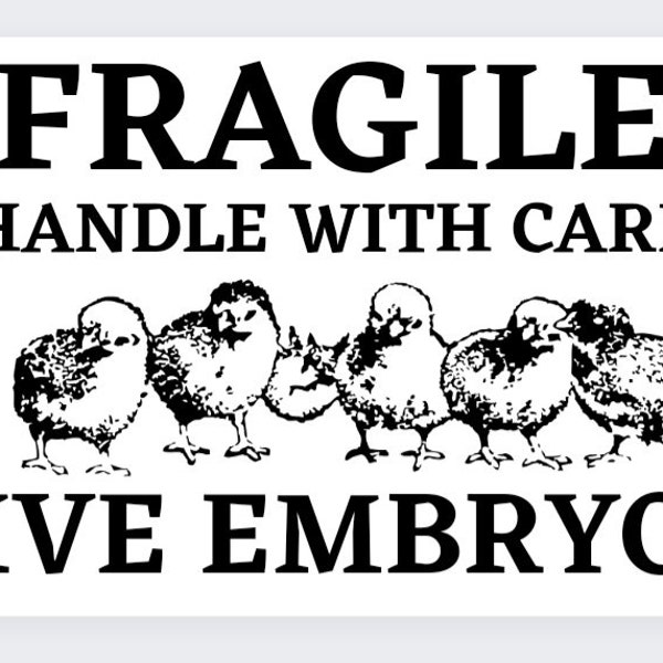 100 Fragile Live Embryo Hatching Egg Stickers