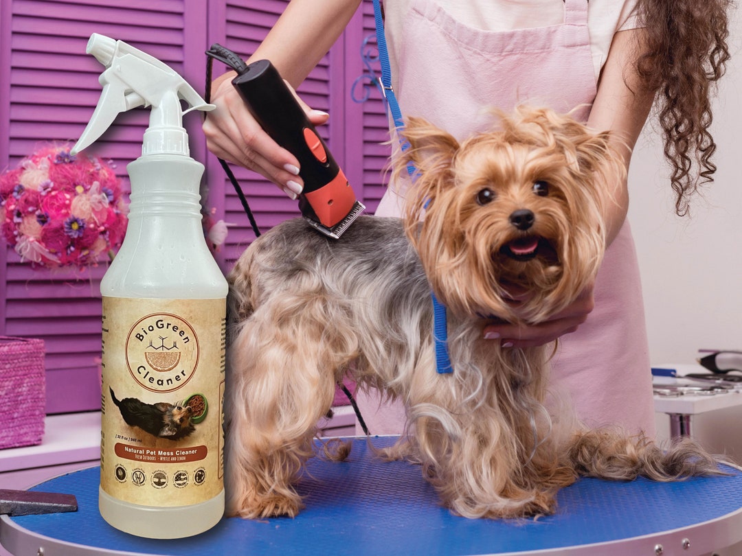 Allnatural Pet Mess Cleaner by Biogreen is a Household Etsy