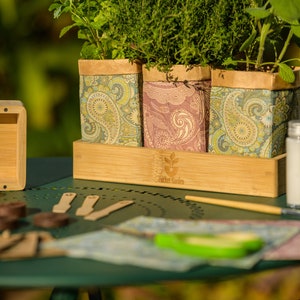 Könnte beinhalten: Ein Set aus drei kleinen, gemusterten Stofftöpfen mit Pflanzen, die darin wachsen. Die Töpfe stehen in einem Holztablett mit der Aufschrift "Pocket Garden". Außerdem gibt es kleine braune Saatgut-Starterpellets, Holzstäbchen und eine kleine Flasche mit weißer Flüssigkeit auf einem grünen Tisch.