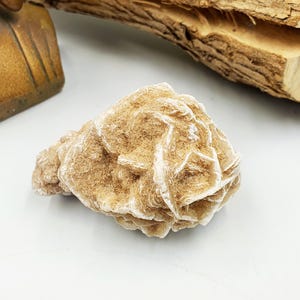 Großes Wüstenrose / Wüstenrose / Gips / Raw Desert Road Mineral - 130g