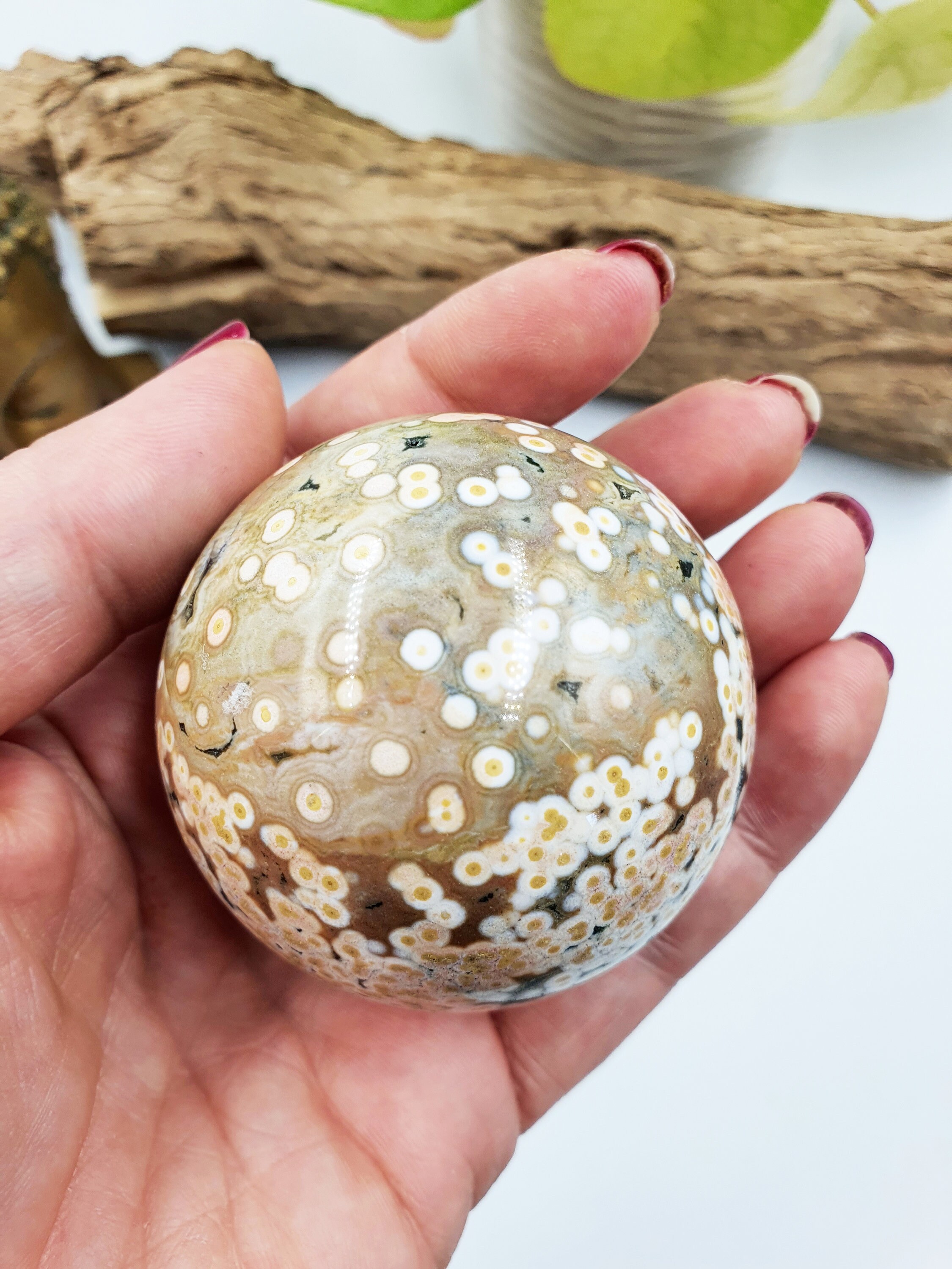 Rare 8th Vein Ocean Jasper Sphere / 8 Vein OJ Sphere / High Grade