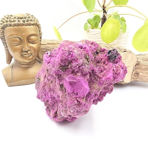 May include: A raw mineral specimen in a vivid magenta colour. The rough stone has a textured surface and a crystalline structure. A small, gold-coloured Buddha statue and a potted plant are in the background.
