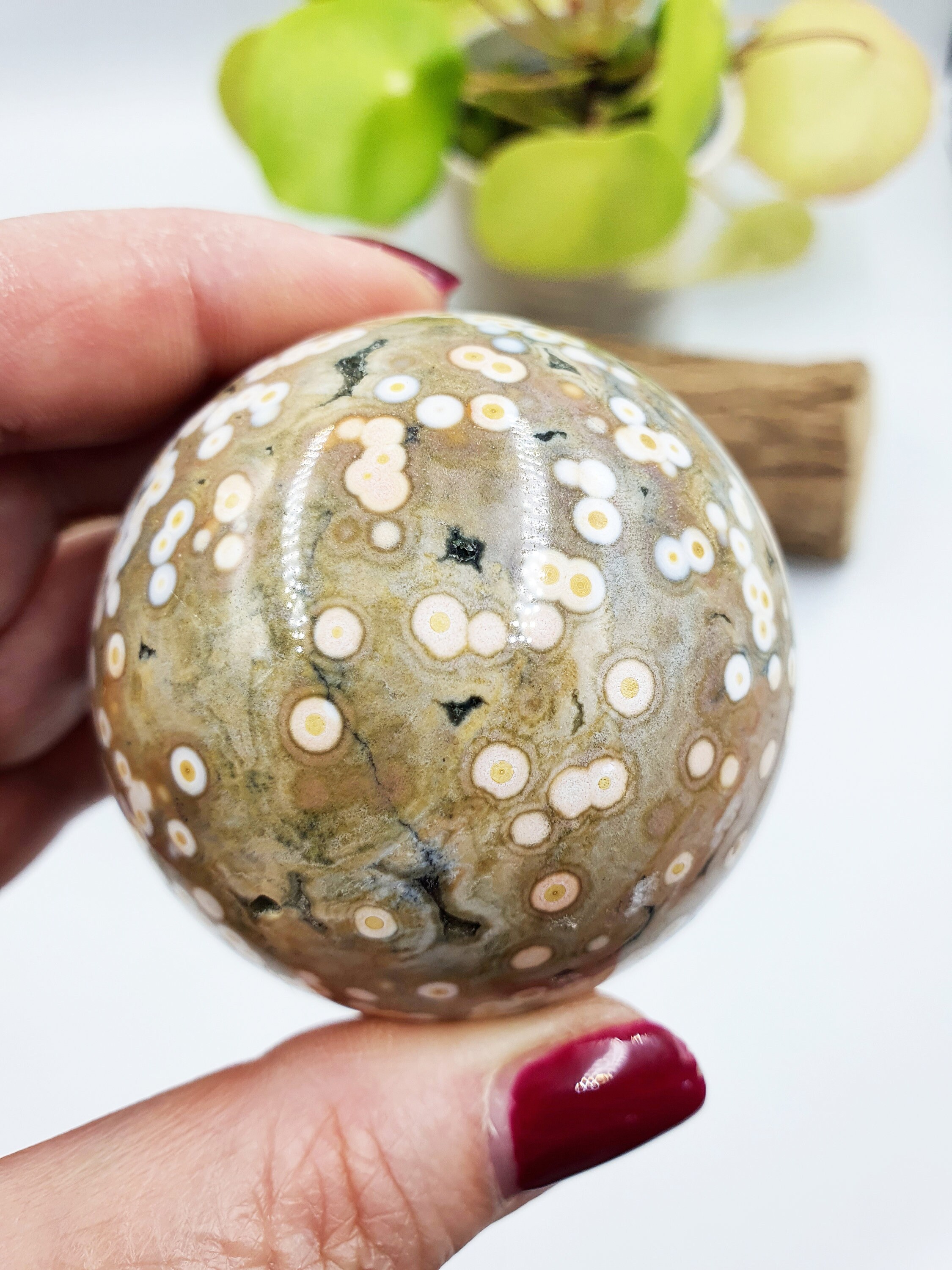Rare 8th Vein Ocean Jasper Sphere / 8 Vein OJ Sphere / High Grade