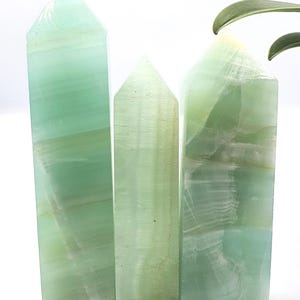 Large Caribbean Calcite Tower – Calm, Serenity & Dreamy Ocean Energy Crystal Point image 6