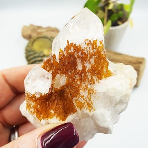 May include: A white quartz crystal cluster with brown inclusions. The crystal is raw and has a natural, rough texture.
