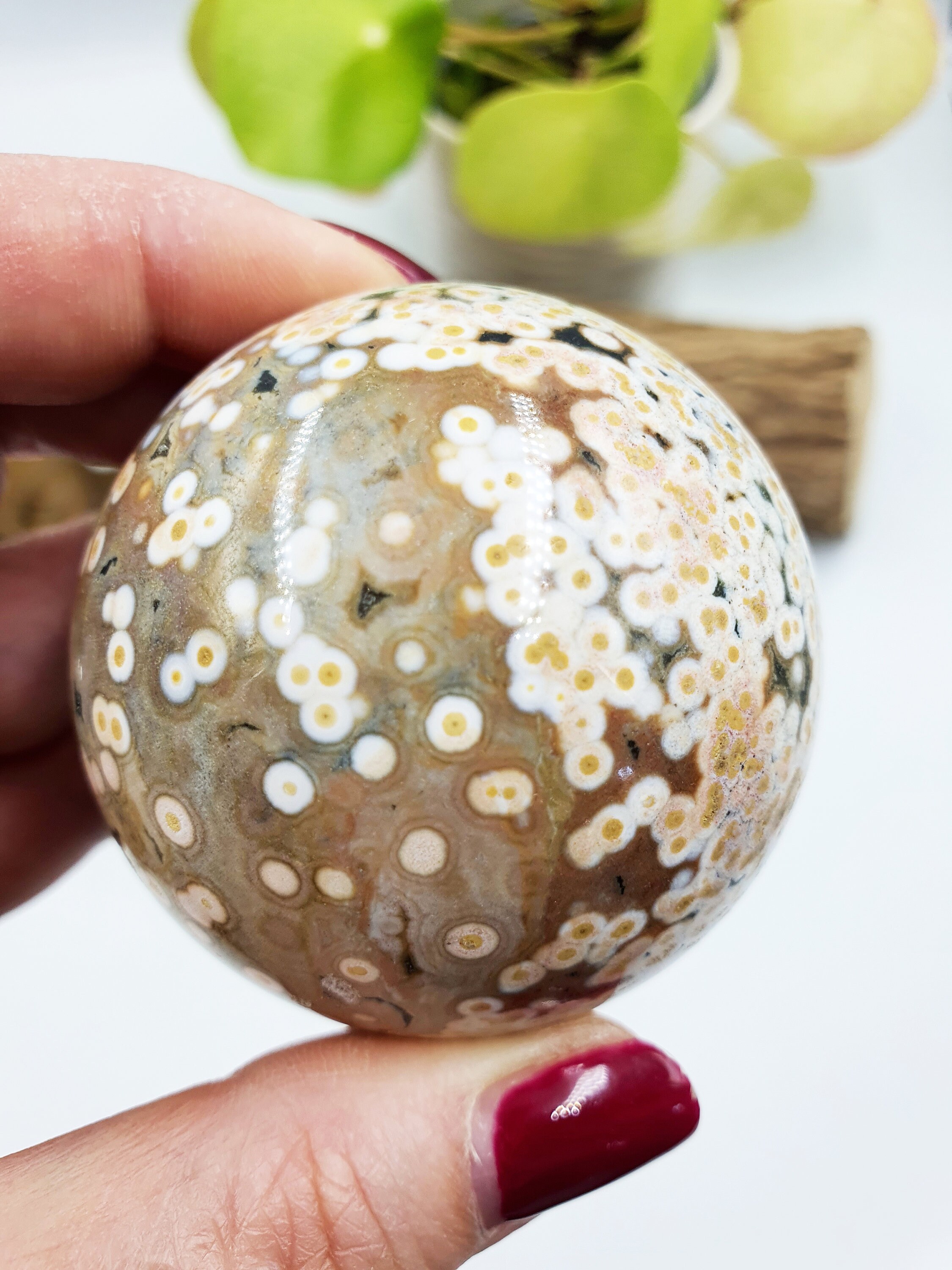 Rare 8th Vein Ocean Jasper Sphere / 8 Vein OJ Sphere / High Grade