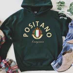 Positano Hoodie,Amalfi Coast Shirt,Amalfi Coast, Amalfi Coast Shirt, Italy Shirt, Positano, Capri, Vacation Shirt, Travel Shirt
