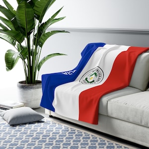 Paraguay Fleece Blanket, Paraguay Flag Blanket, Flag of Paraguay, Custom Paraguay Flag Blanket, Personalized Country Flag Gift, Name Blanket