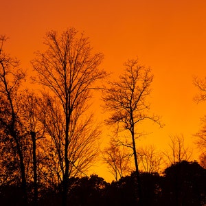 Sunset Digital Print, Sunset Photograph, Nature Wall Art, Home Decor Photo Downloads, Office Decor, Art Lover Gifts