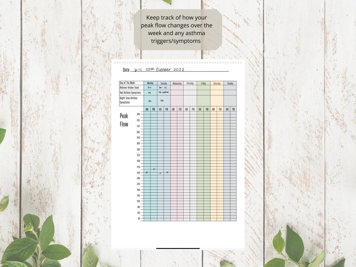 Asthma Peak Flow Log | Peak Flow Tracker | Medical Chart | Medical ...