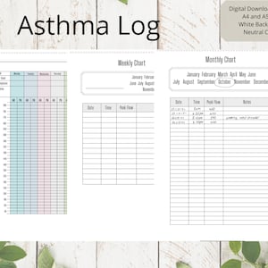 Asthma Peak Flow Log | Peak Flow Tracker | Medical Chart | Medical Planner | Digital Download